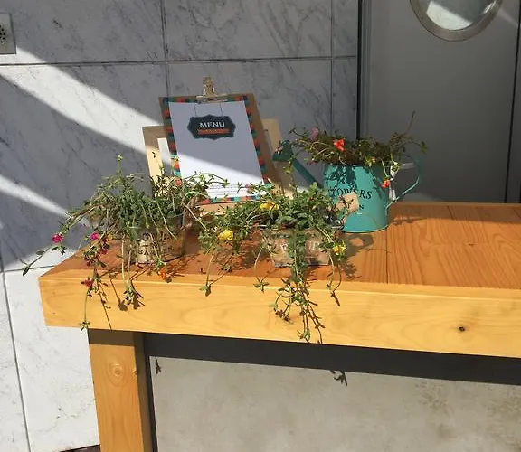 Hotel Hotel Praia Nazare